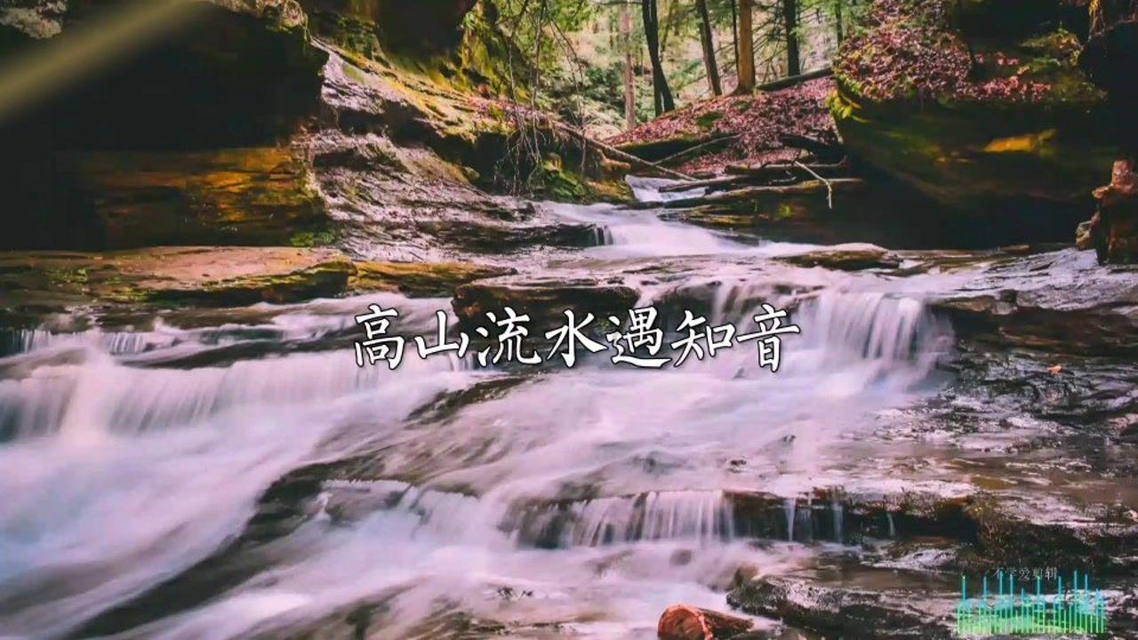 88影视